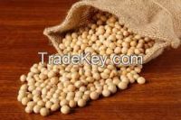 soybeans