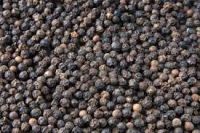 Sell Black Pepper Seeds/Best quality/ competitive price /fast delivery time