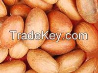 Sales of Bitter kola, Kola nuts & Ginger, Coacoa, Gari, Elubo