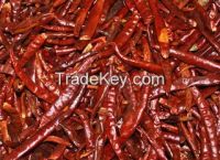Fresh and Dried Red Chilli