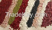 Kidney Beans ( White, Read, &Black), Mung Beans