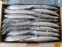 Fresh and Frozen Horse Mackerel Fish, Herring Fish , Dry Stockfish
