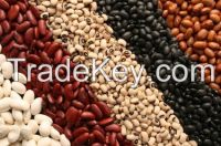 kidney beans