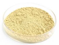 Sell Chrysanthemum extract powder