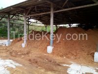 Coco Peat bulk