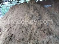 Coco peat bulk