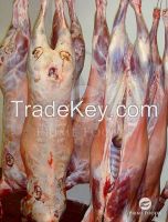 Lamb cuts