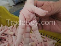 Grade A Frozen Chicken Feet and Paws Available For Shipment Worldwide