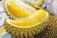 Best Quality Frozen Fruit Supplier