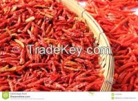 Dry Pepper (Chili)