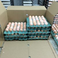 Sell Eggs