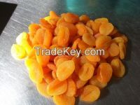 Best Price with High Qality Dried Apricot