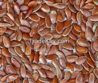 Flax seed / Linn seed