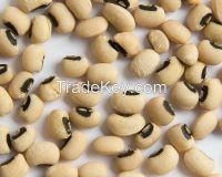 Black Eye Beans, cowpeas