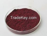 Sell Grape Seed Extract 95%