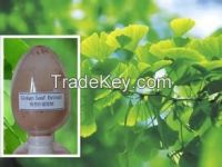 Sell Ginkgo Biloba Leaf Extract 24%/6%