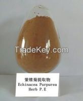Echinacea extract 10%-90%