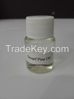 Dwarf Pine Oil