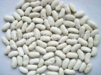 White Red and Black Kidney Beans