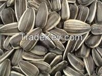 SUNFLOWER SEEDS FOR HUMAN CONSUMPTION