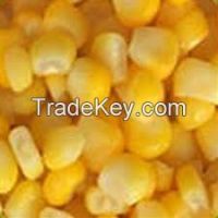 YELLOW CORN GRADE 2 GMO