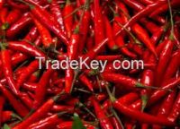 Dry Red Chillies