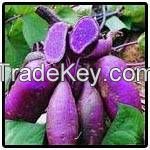 Sell Purple sweet potato extract