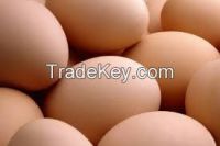 Fresh Brown Chicken Eggs