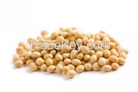 SOYBEANS