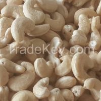 Cashew Nut