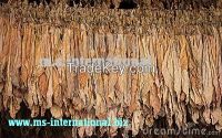 manufacturer of tobacco leaves