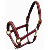 Horse Leather Halter