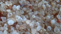 Gum Arabic Acacia Seyal ( Talha )