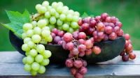Top Quality Egyptian Grapes- Red & Yellow