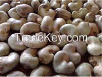 RAW CASHEW NUTS IN SHELL