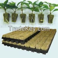 rock wool for plant