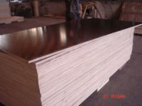 Sell brown film faced plywood