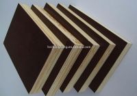 Sell  film faced plywood