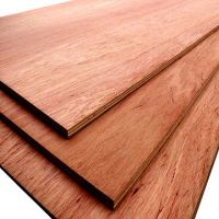 Sell hardwood/combi plywood