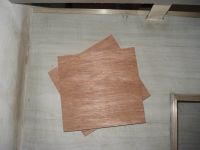 Sell bingtangor face plywood