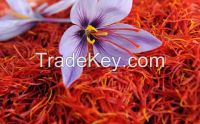 Saffron from Morocco