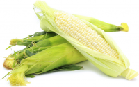 White corn