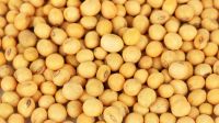 Soybean products