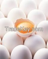 Selling egg white C1 C0