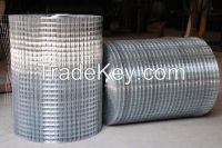 Welded Wire Mesh