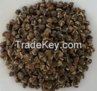 Moringa Seed