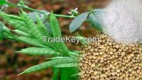 GUAR GUM & GUAR GUM POWDER