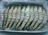 Shrimp/Seafood/ prawn Black tiger HLSO, HOSO, CPDTO, PDTO