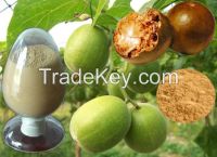 organic monk fruit sweetener, monk fruit, monk fruit extract powder