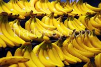 bulk banana organic fruit/bulk banana organic fruit powder/bulk banana organic fruit extract